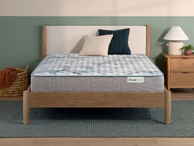 Beauty Sleep Dream Weaver Firm by Beauty Sleep