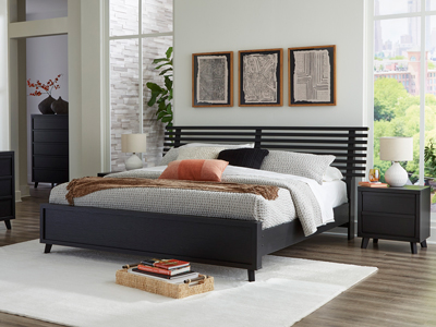 Danziar Collection with Mirrors Queen Beds