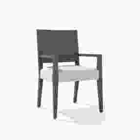 Modus Furniture Oakland Wood Arm Chair in Brunette FQBM64 (Set of 2)