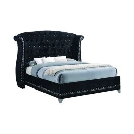 Coaster Furniture Barzini Glamorous Upholstered Queen Bed in Black Velvet