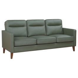 Coaster Jonah Upholstered Track Arm Sofa Green in Green 509654
