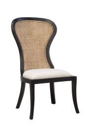 Furniture Classics Adrina Side Chair in Black 51875AB77 PROMO