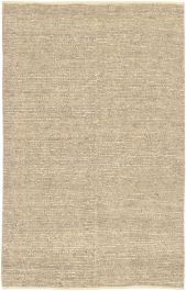 Surya Continental 2' X 3' Area Rug COT1930-23 FREE SHIPPING