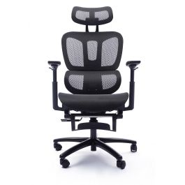 Sealy Huxley Ergonomic High-Back Mesh Office Chair with Adjustable Headrest and Armrests 63080