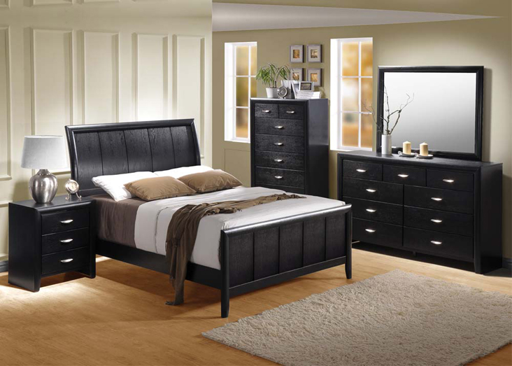 Hailee Collection Hailee Collection
